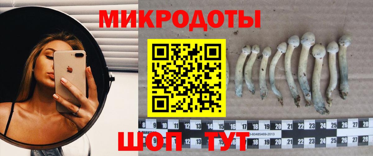 Галлюциногенные грибы Psilocybine cubensis Свободный
