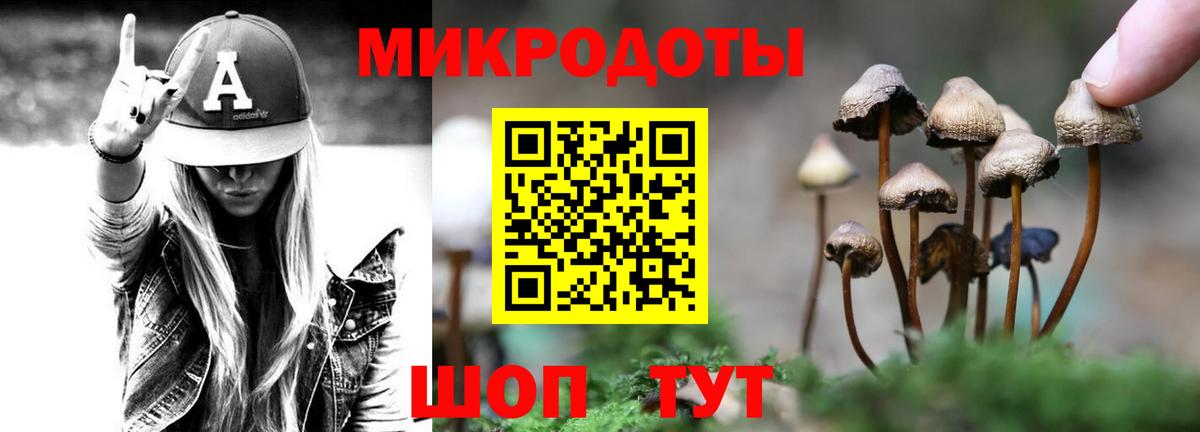 Свободный  Псилоцибиновые грибы Cubensis  Псилоцибиновые грибы мицелий  Вход с VPN 